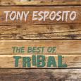 The Best of Tribal