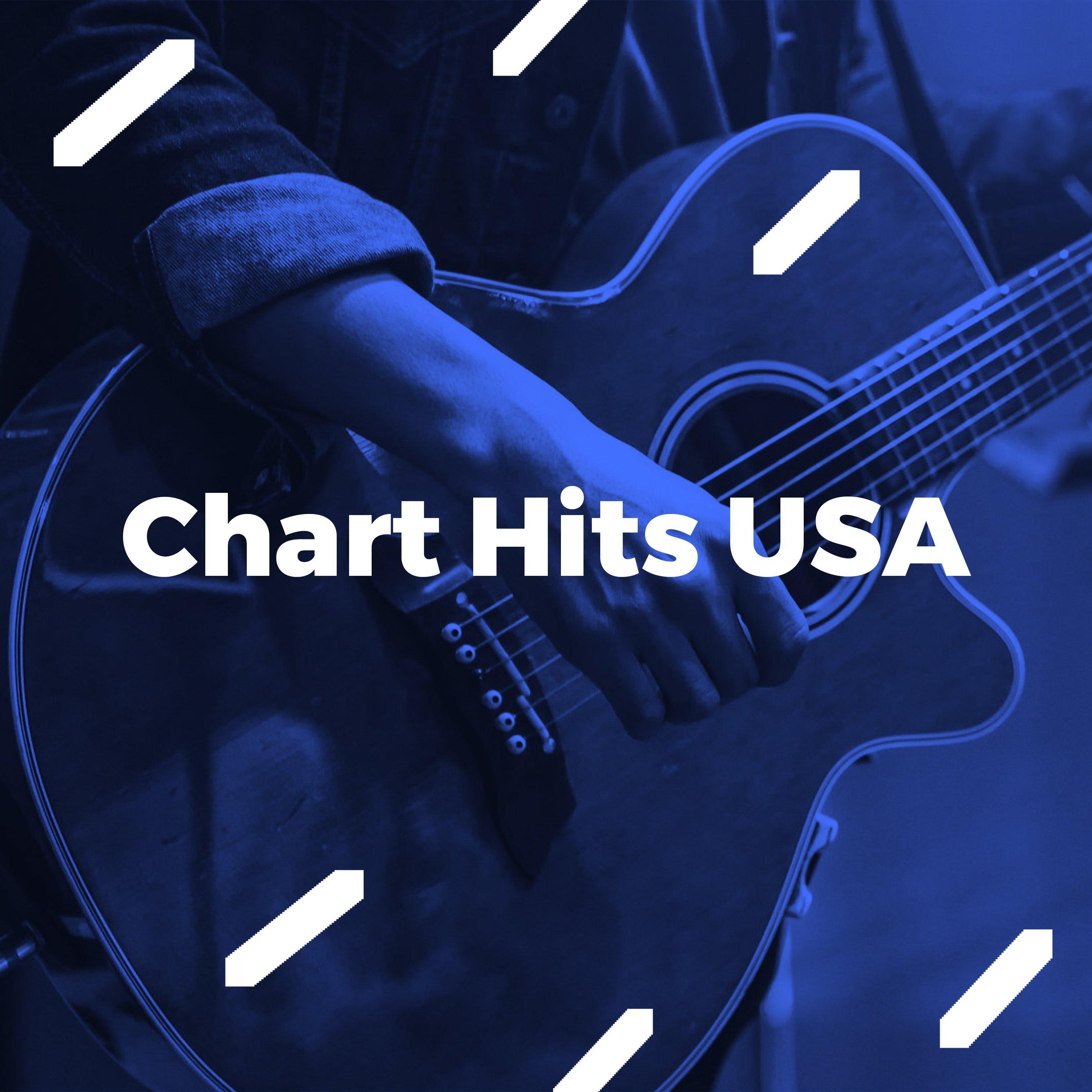 Chart Hits USA专辑