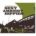 17 Hippies Play Sexy Ambient Hippies