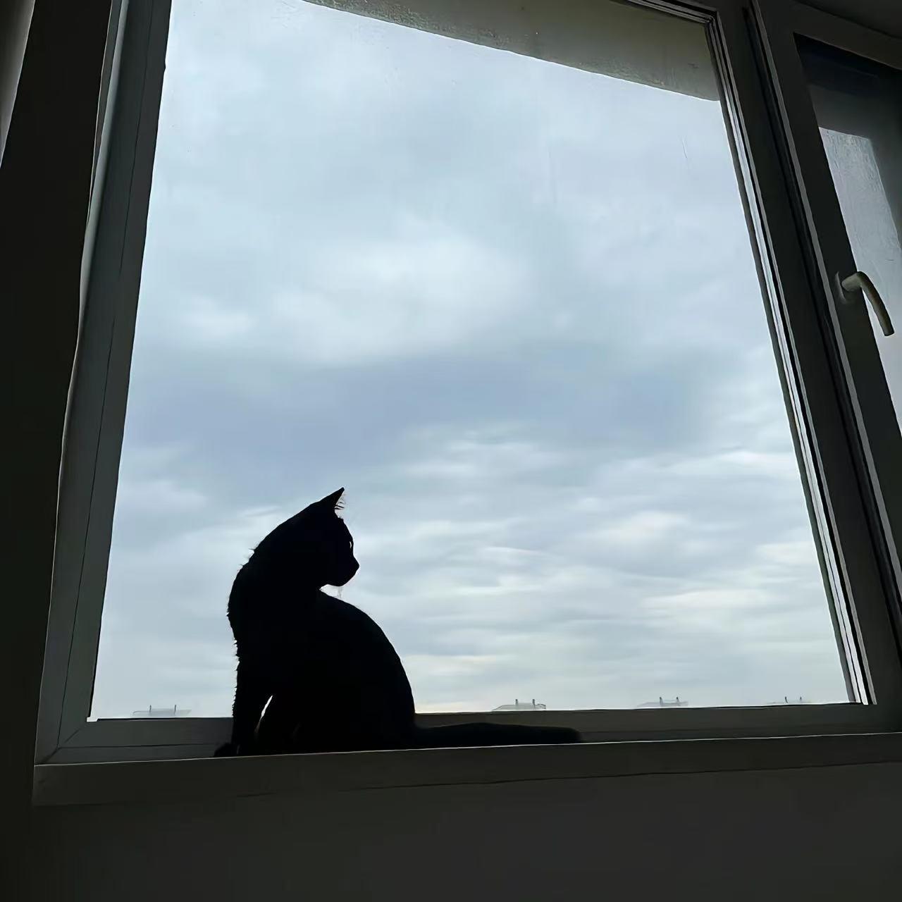 伯虎说（停顿超爽版）