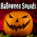 Halloween Sounds专辑