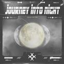 Journey Into Night