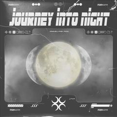 Journey Into Night