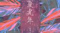 盛夏光年专辑