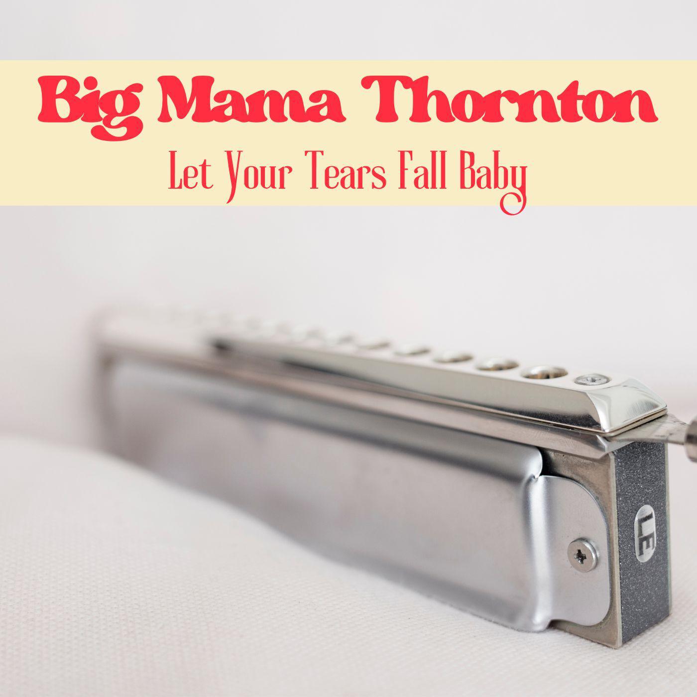 Big Mama Thornton - I Ain't No Fool Either