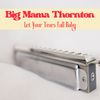 Big Mama Thornton - I Smell A Rat
