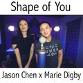 Shape of You