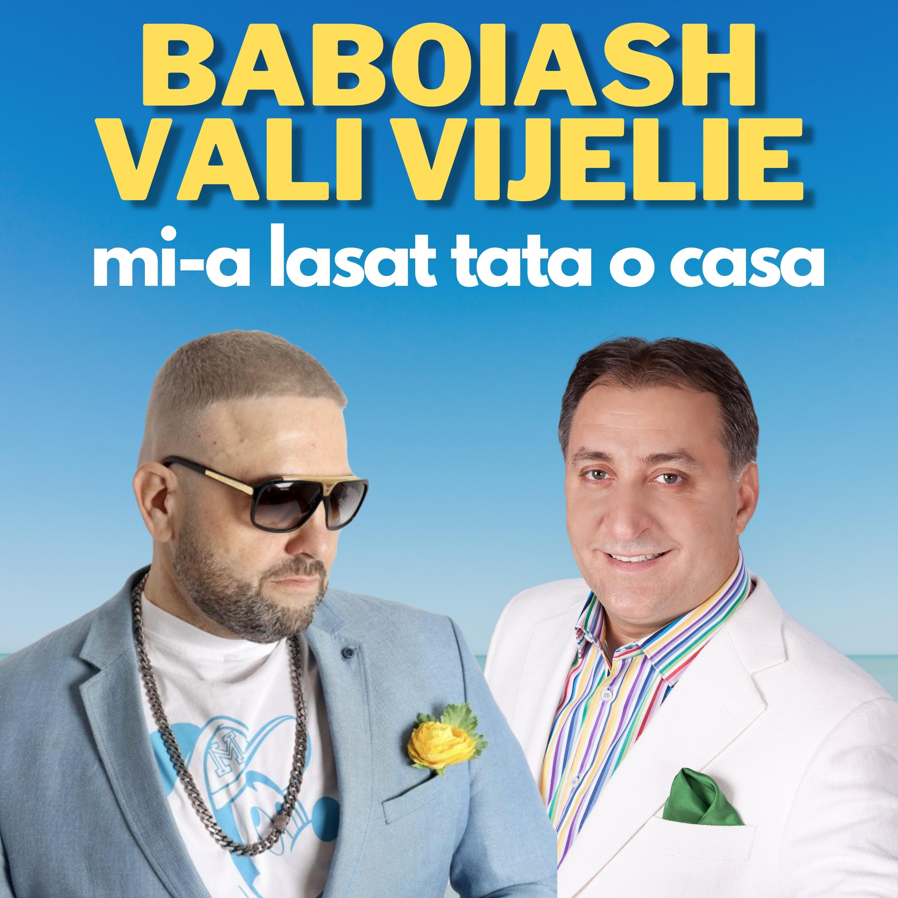 Mi-a lasat tata o casa (feat. Vali Vijelie)