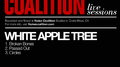 White Apple Tree - Noise Coalition Live Sessions专辑