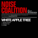 White Apple Tree - Noise Coalition Live Sessions