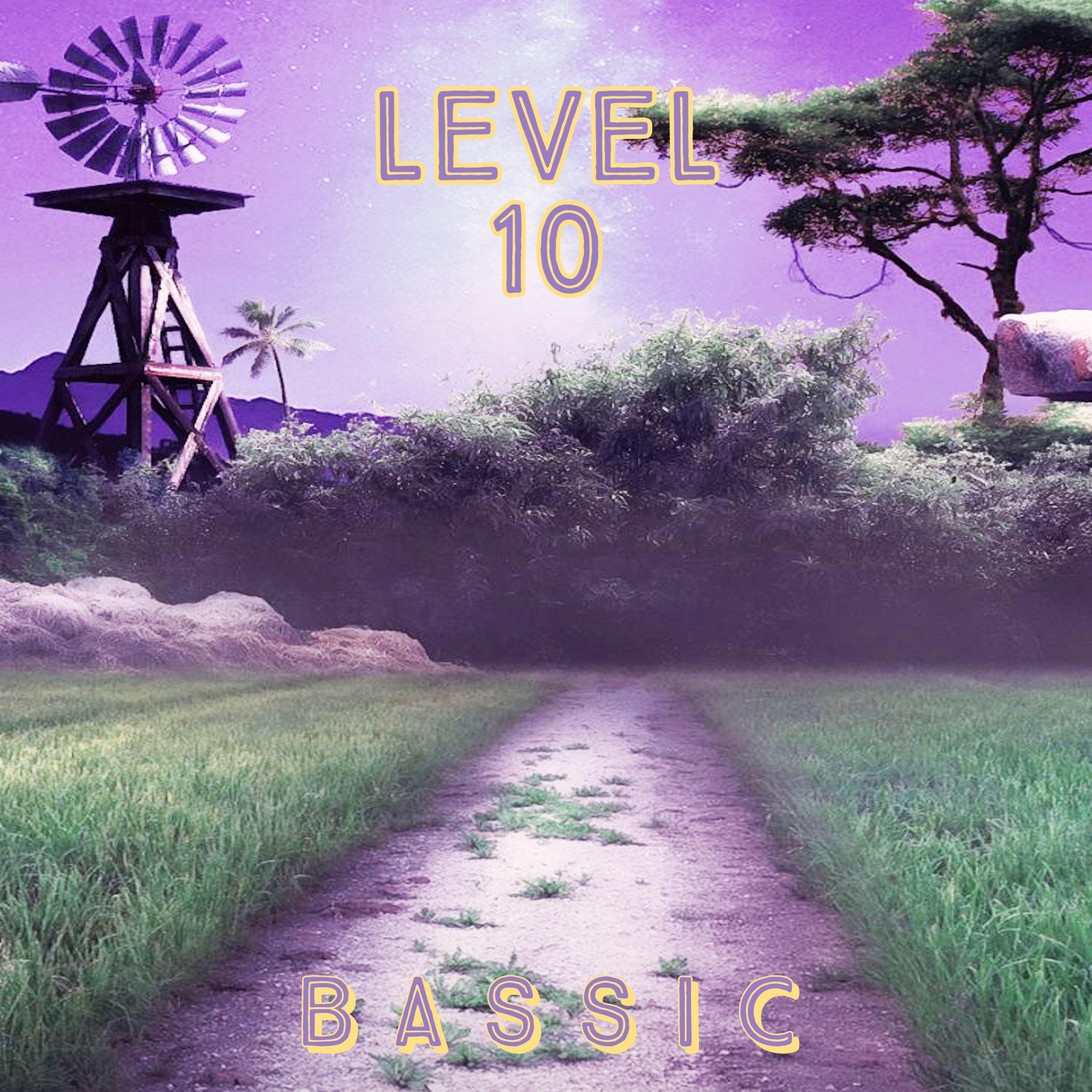 Level 10