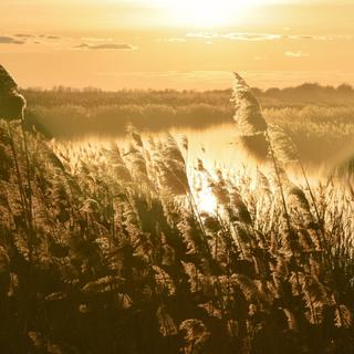 初秋微凉 · 漫步金色林间 | 私藏秋日序曲