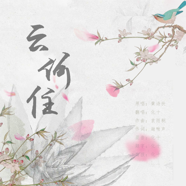 云何住