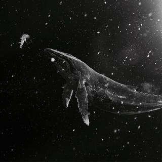 【后摇】沉默、彷徨、oblivion
