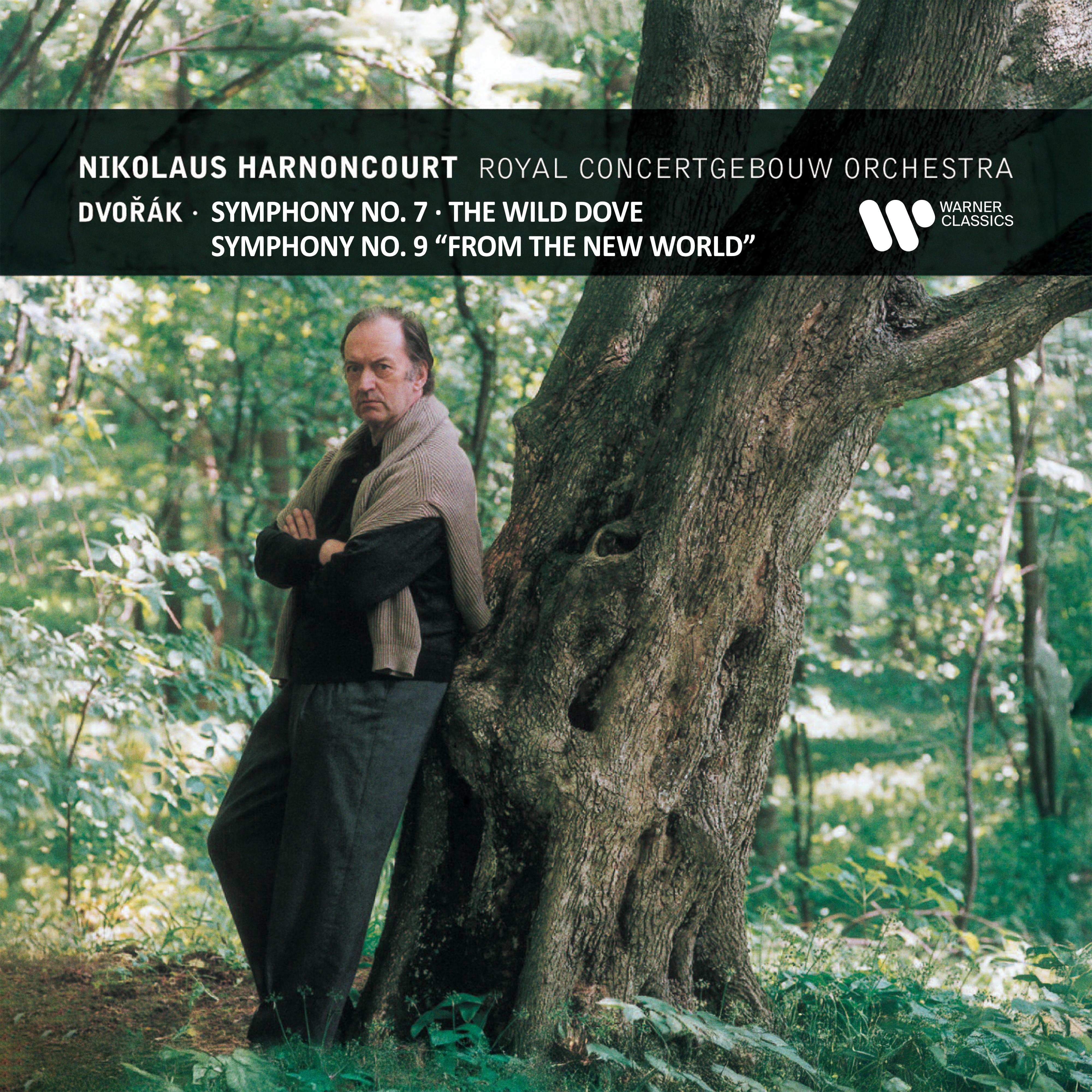 The Wild Dove, Op. 110, B. 198:I. Andante. Marcia funebre