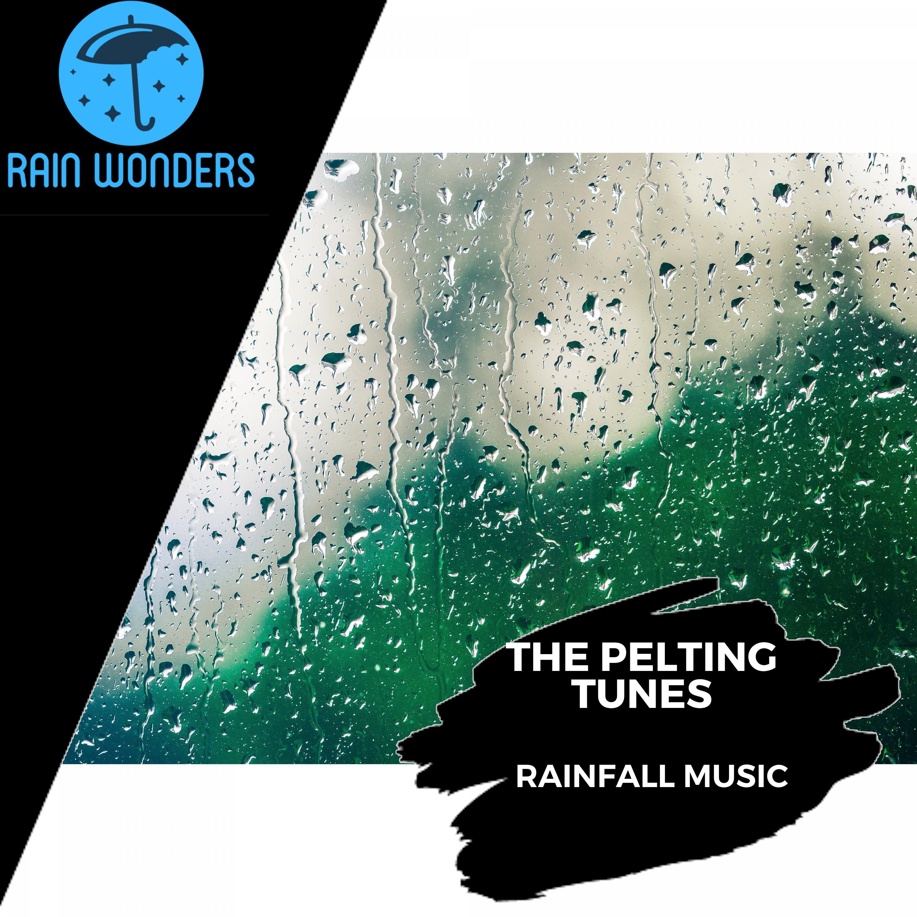 Rain Roots Nature Music - Long Warm Rain Aftermath