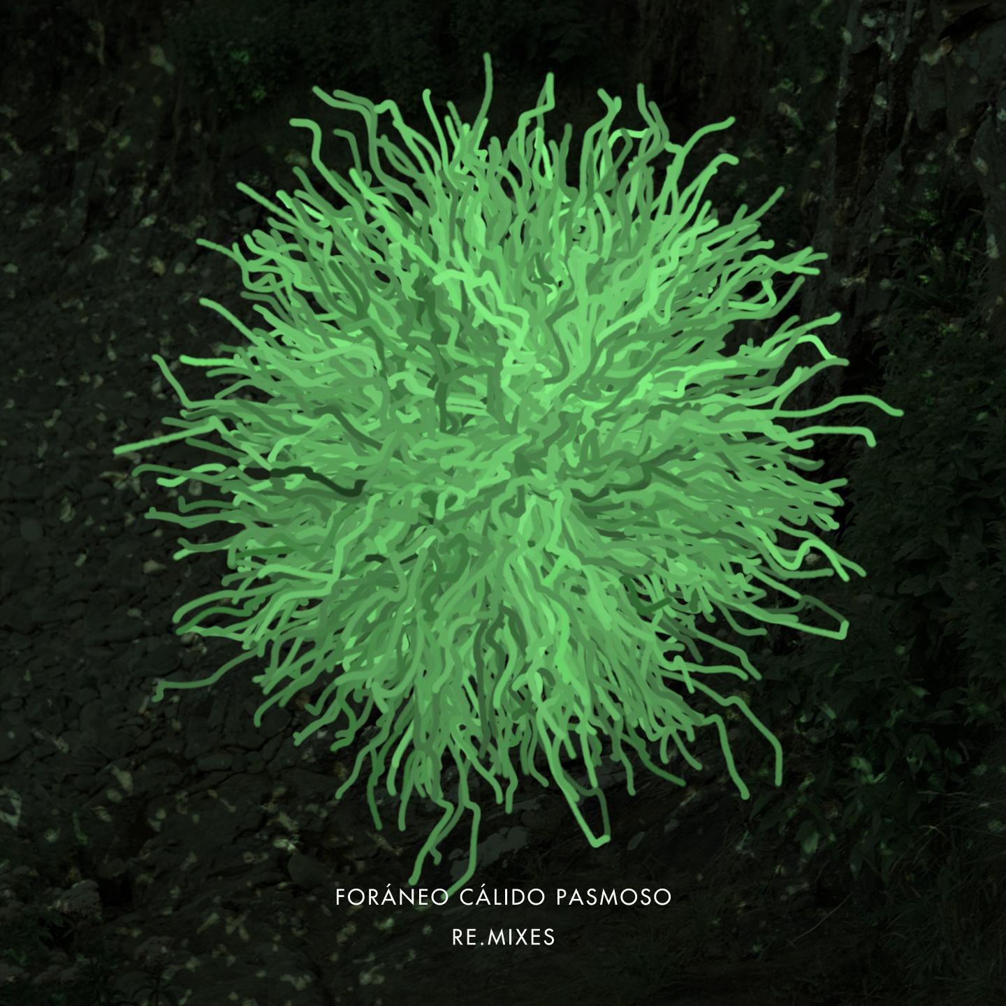 Roráneo Cálido Pasmoso