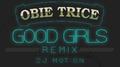 Good Girls (DJ Motion Remix)专辑
