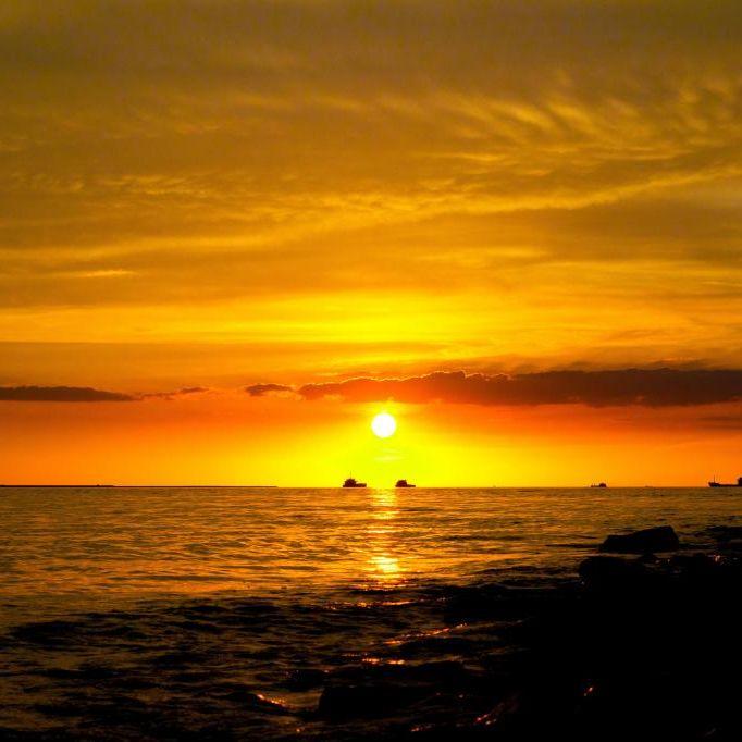 我的眼泪你的战利品