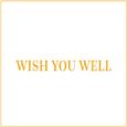 Wish You Well