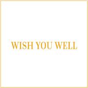 Wish You Well