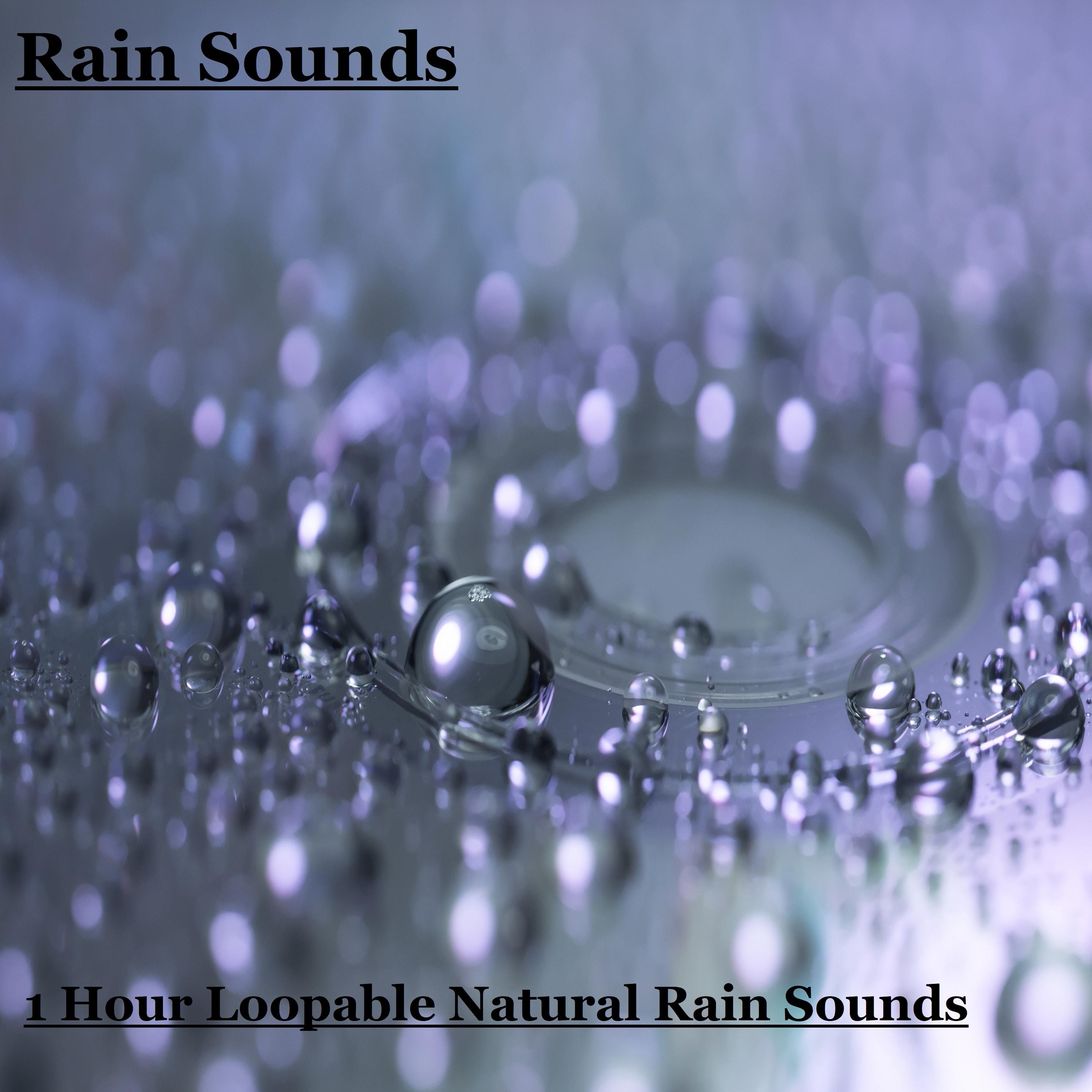 1 Hour Loopable Natural Rain Sounds专辑