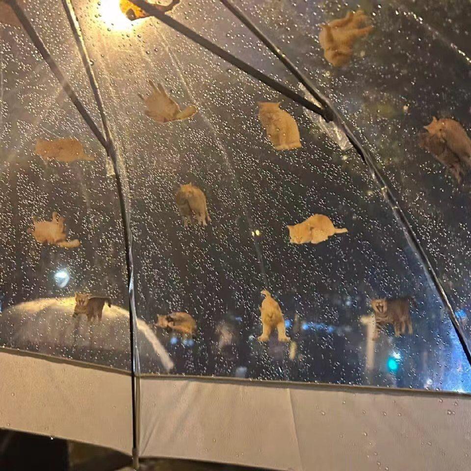 回忆总是慢动作(热播伴奏)