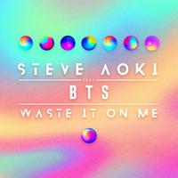 Waste It On Me (Higher Key) - Steve Aoki & BTS (钢琴伴奏)