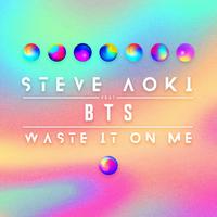 Waste It On Me - Steve Aoki and BTS (Pro Instrumental) 无和声伴奏