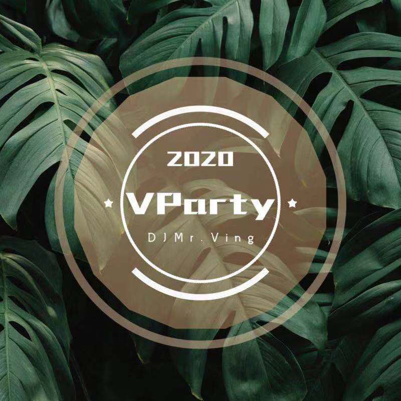 群星-EDM Bass House Party Mix Of The Year（DJ Mr.ving Remix）