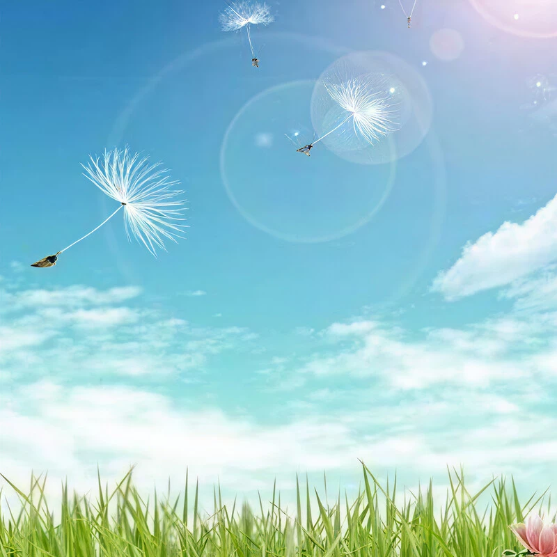 其实，我就在你方圆几里 (DJ梦菲版)