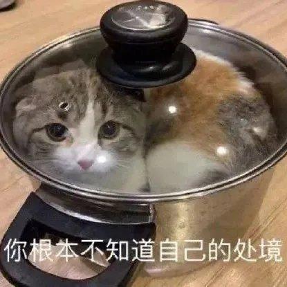 何以解忧，唯有学习