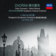 Cello Concerto in B Minor, Op. 104:Finale (Allegro moderato) (Live)