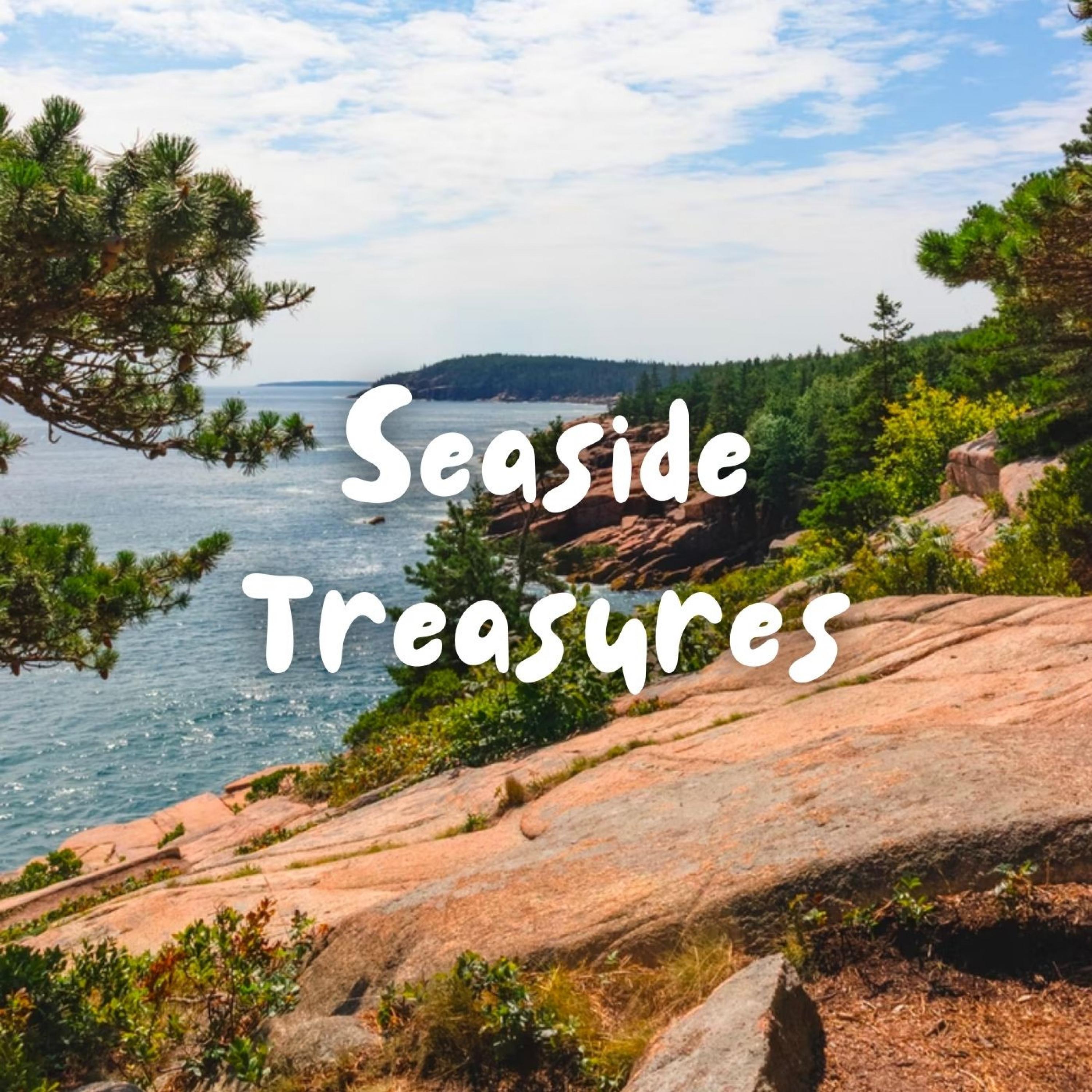 Seaside Treasures - 2 hours