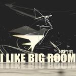 THE big room专辑