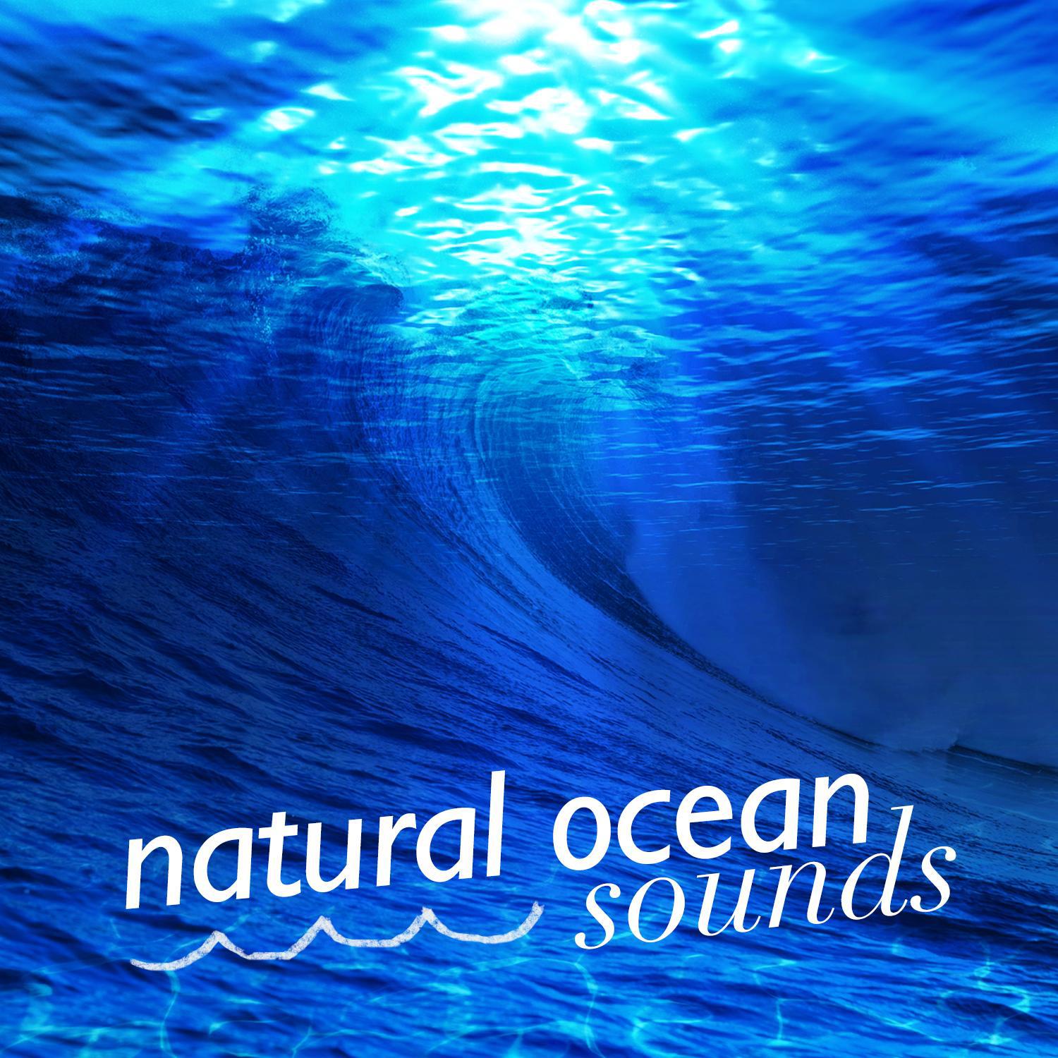 Natural Ocean Sounds专辑