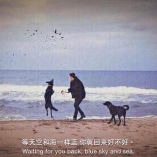 民谣| 我们都是熬不过世俗的普通人