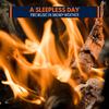 Replenishing Flames 3D Nature Music - Fire Of Nightmares