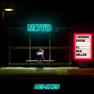 NOTD & Ben Miller - I Wanna Know (VS karaoke) 带和声伴奏