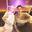 Bassjackers_Official官方高仿