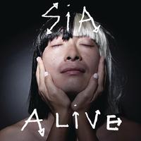 Alive - Sia (karaoke) 带和声伴奏