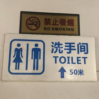 我也因为这些歌哭成狗过