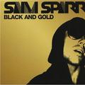 Black and Gold (Starsmith Remix)