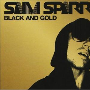 Sam Sparro - lack and Gold （降1半音）