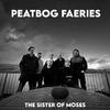 Peatbog Faeries - The Sister of Moses