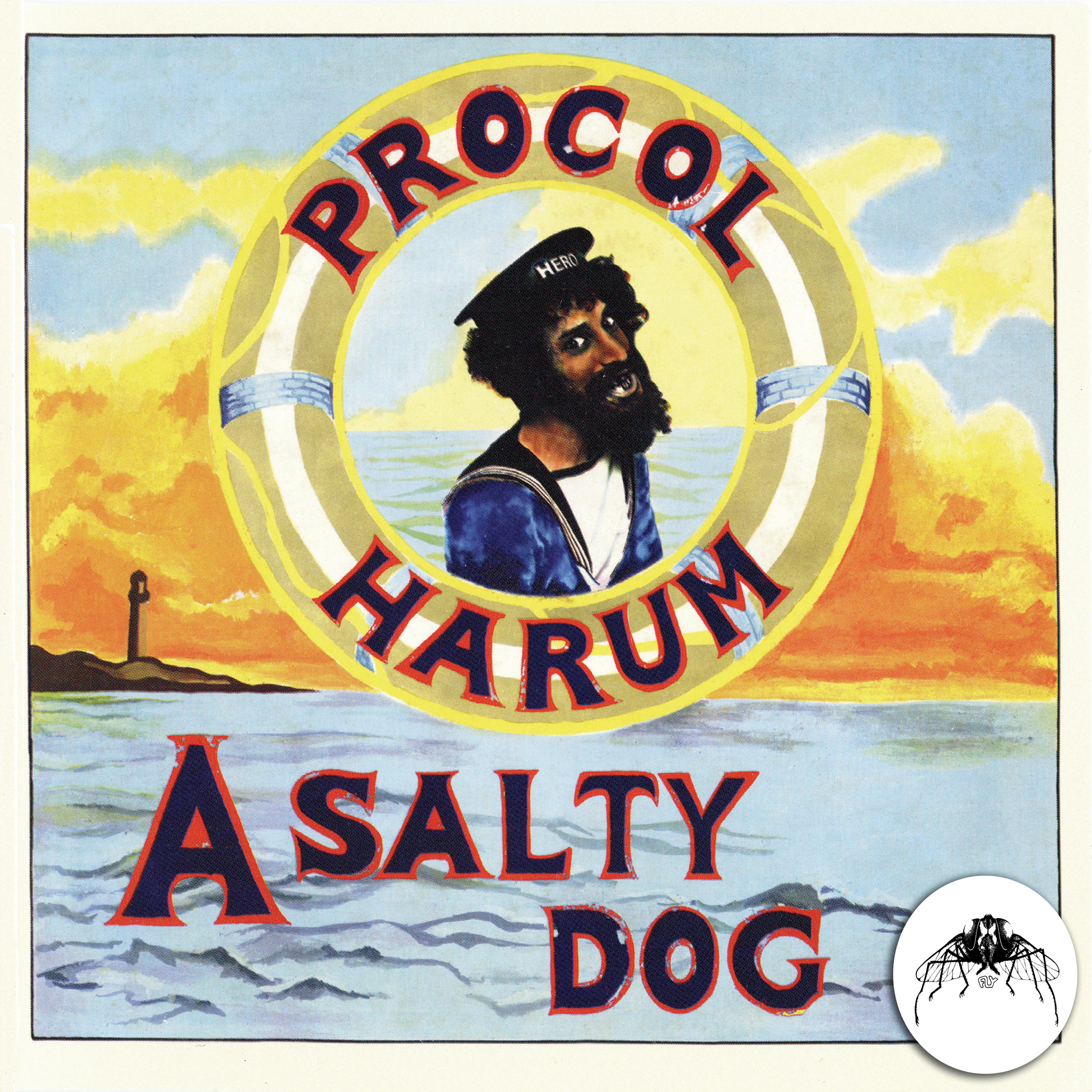 A Salty Dog