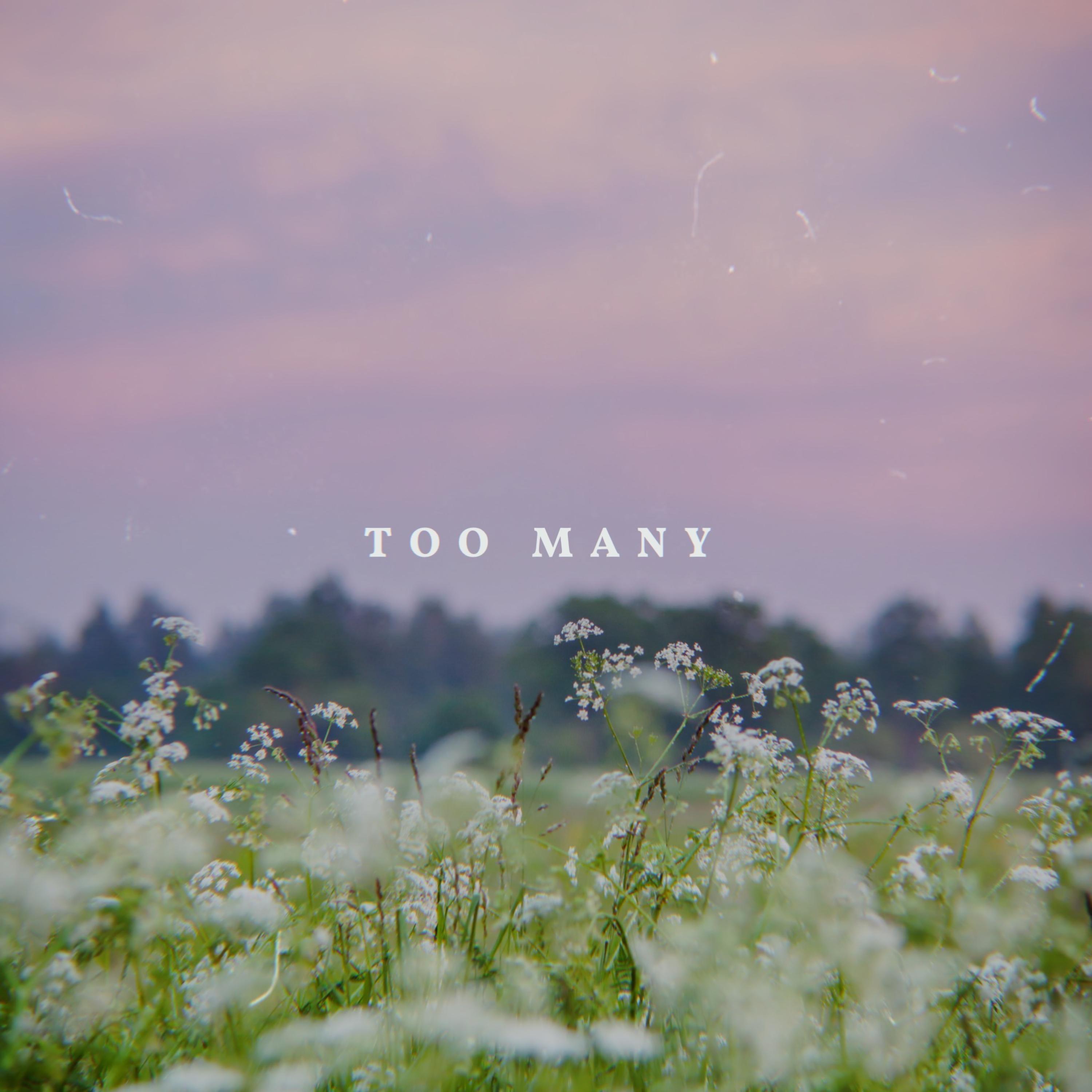 too many