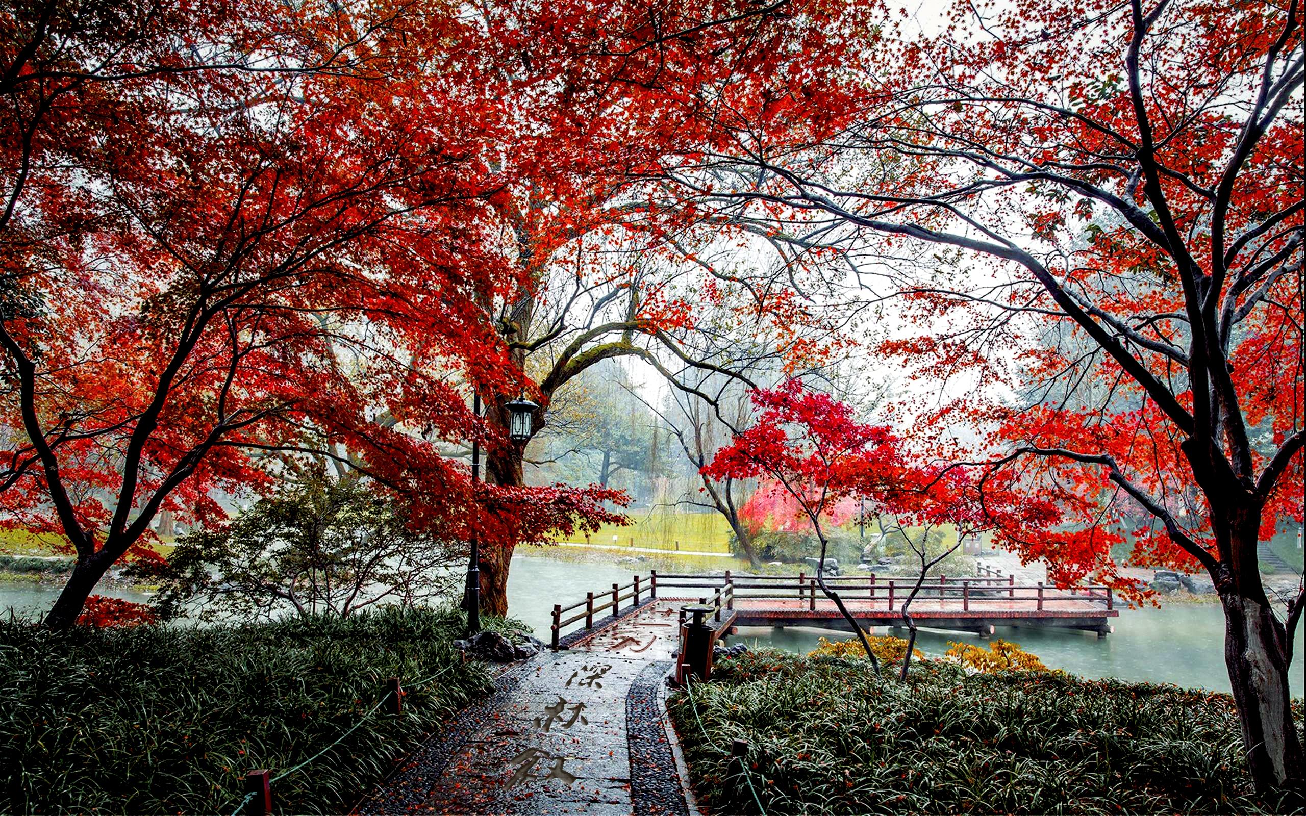 十一月，深秋叙