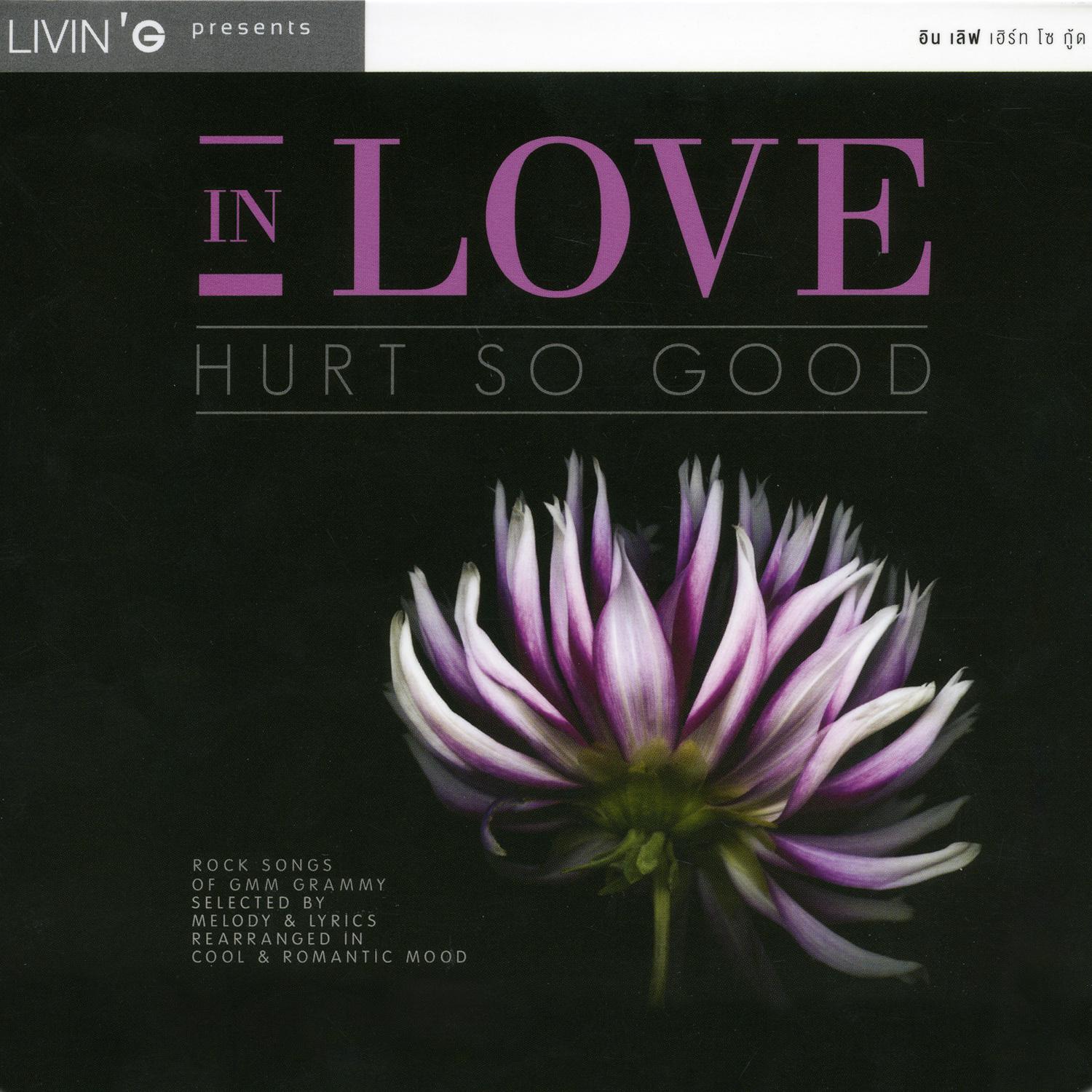 IN LOVE HURT SO GOOD专辑