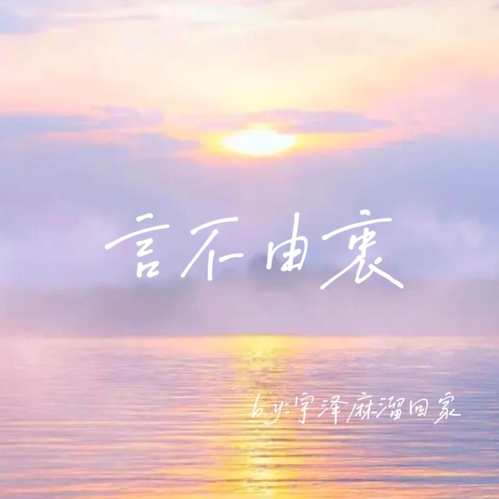 言不由衷